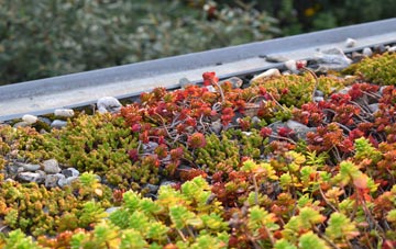 the cost of Lower Holloway green roof installation
