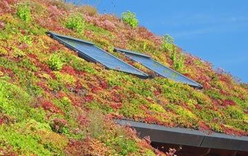 Lower Holloway living roof systems