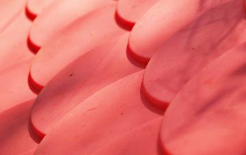 Lower Holloway plastic roof costs