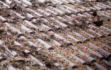 Lower Holloway roof cleaning companies